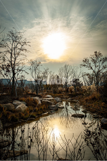 nature,자연,outdoors,옥외,water,물,호수,반영,가을,lake,autumn,light,빛,자연,풍경,nature,landscape