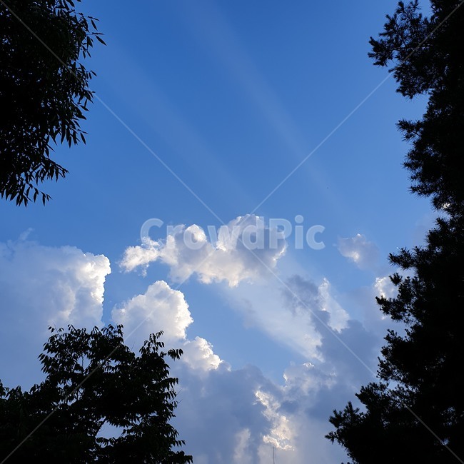 하늘,구름,풍경,sky,cloud,역광,blue,동화