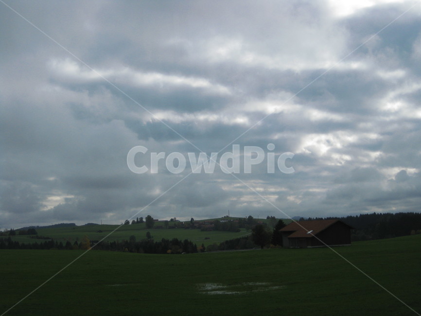 field,들,outdoors,옥외,식물,grass,잔디,nature,자연