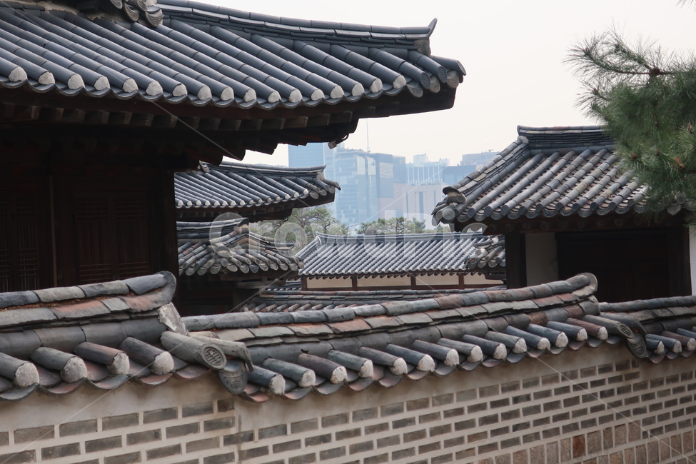 조선,전통,궁정동,칠궁,후궁,신위,유적,감실,신주,사당,한국전통,한국문화,korean traditional,korean culture,건축물,건물외관,exterior,building,structure,architecture,construction