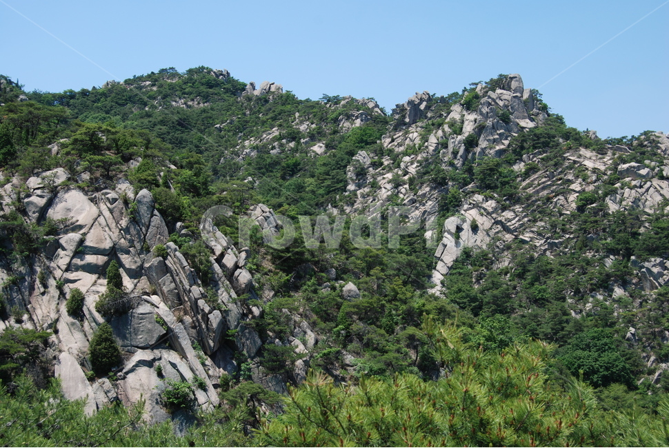바위,rock,mountain,tree,nature,자연,풍경,nature,landscape,outdoors,옥외,vegetation,초목,plant,식물,wilderness,황야,slope,경사