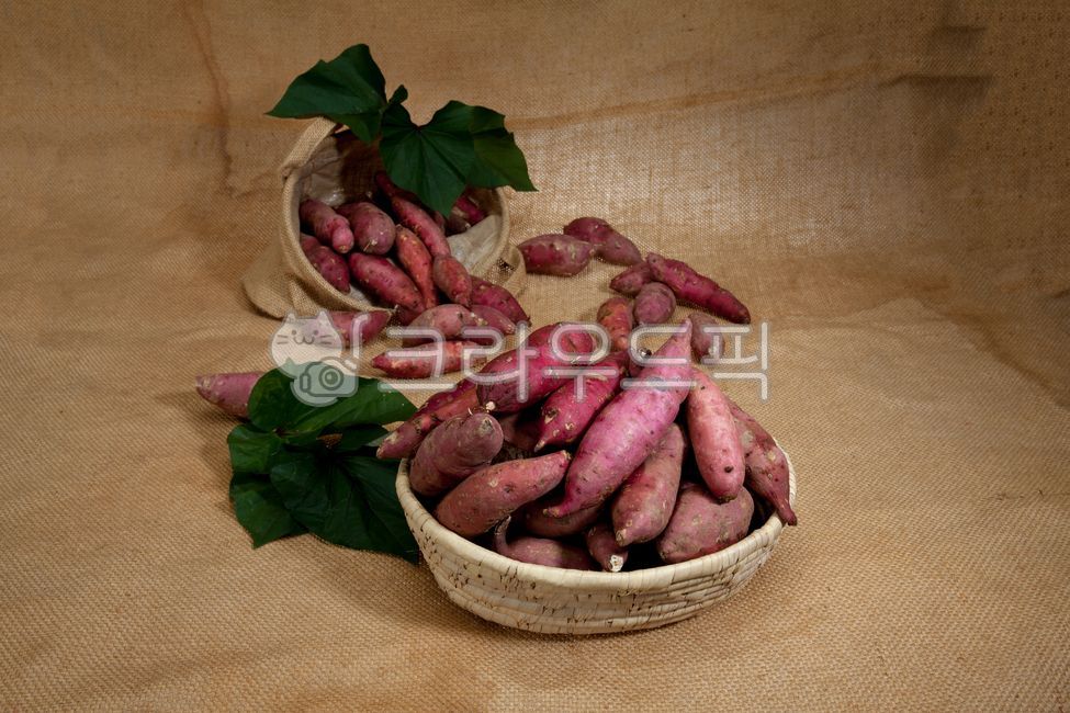 chestnut sweet potato,sweet potato,Roasted Sweet Potato,Honey sweet potato,Fresh sweet potatoes,Pumpkin Sweet Potato