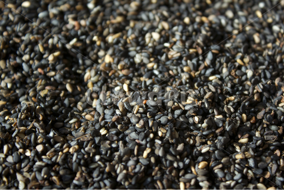 brown,closeup,dry,dummy,food,gold,grain,macro,meal,natural,nature,organic,plant,seed,seeds,sesame,sesameseed,sesameseeds,top,topangle,topview,yellow,깨,참깨,곡식,곡류,음식,음식재료,식재료,식물,씨앗,씨,말린,말리는,건조,자연,클로즈업,깨소금,농작물,농촌,농사,검정,블랙,검은색,black,검은깨,아웃포커스,포커스아웃,블러,곡류,곡식,cereals
