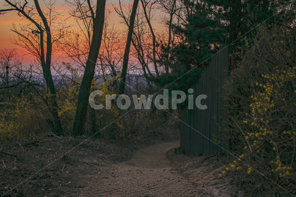 노을,산책로,등산로,산책길,일출,sunset,magichour,매직아워,해넘이,해돋이,산,북악산
