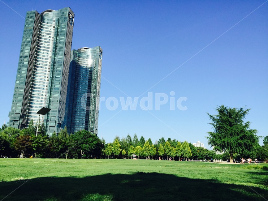 서울숲,공원,봄,여름,하늘,초록,나무,들판,돗자리,도시,풍경,city,landscape,plant,식물,grass,잔디,housing,주택,condo,콘도,building,건물