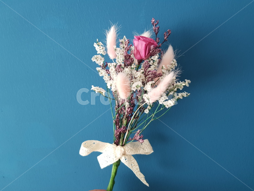꽃,고백,수줍음,낭만,사랑