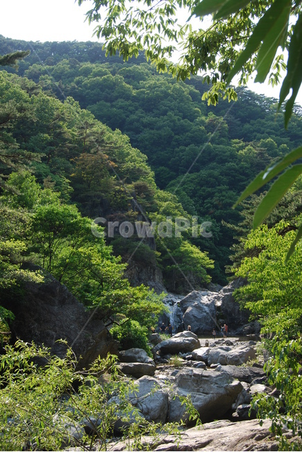 내연산,문수봉,연산폭포,무풍폭포,상생폭포,자연의위대함,등산로,능선,아름다움,신비스런산,돌,산행,힐링,자연,감성,등산,계절,여행,한국,한국명산,한국등산,풍경,눈,나무,하늘,바람,바람소리,환경,생태계,산,땅,자연,풍경,nature,landscape,한국자연풍경,한국자연경관,korea nature landscape,outdoors,옥외,water,물