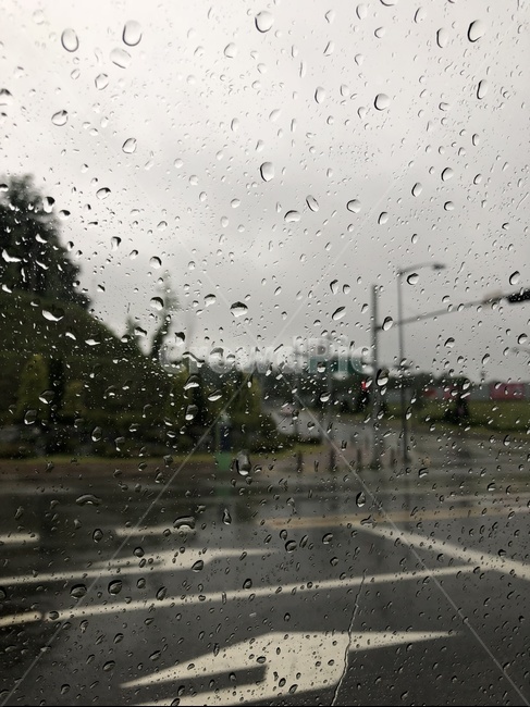 비오는날,물방울,흐린날씨,도로,rainyday,waterdrop,cloudyweather,road,비,비오는날,rain,rainy
