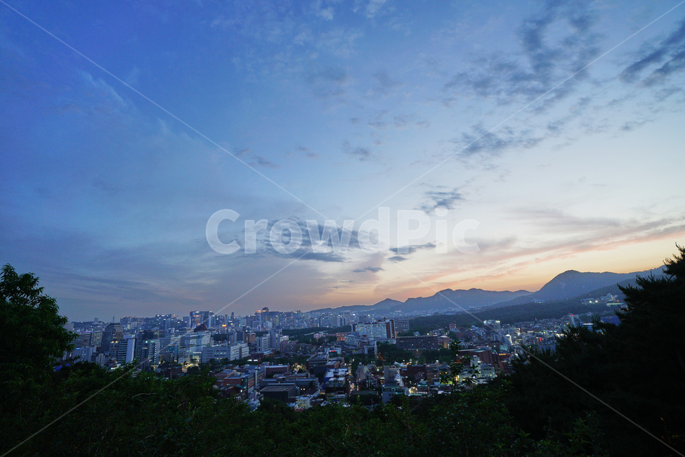 낙산공원,야외,공원,산책,서울전망,야경,밤,풍경,nightscape,night,landscape,도시,city,한국도시풍경,한국도시경관,korea cityscape,nature,자연,outdoors,옥외,경치,scenery,aerial view,조감도