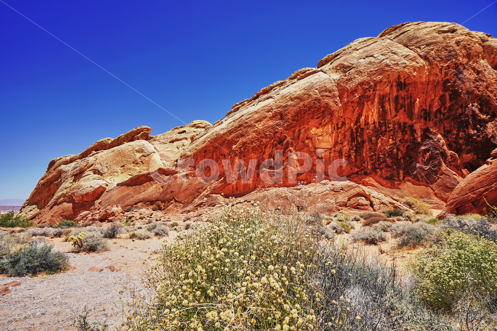 valleyoffire,불의계곡,건조한,dry,풍경,파란,하늘,red,rock,바위,자연,풍경,nature,landscape,해외,외국,세계,foreign,oversea,world,세계자연풍경,해외자연풍경,외국자연풍경,world nature landscape,outdoors,옥외,mesa,메사