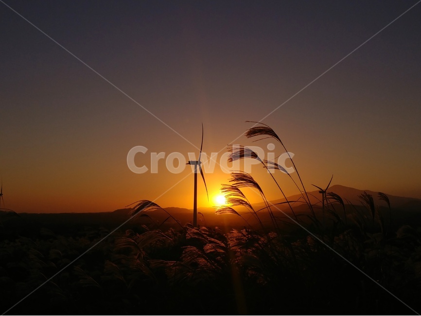 노을,풍경,감성,제주,제주풍경,하늘,구름,자연,바다,파도,자연,풍경,nature,landscape,outdoors,옥외,flare,플레어,light,빛,sky,dusk,황혼,dawn,새벽,red sky,붉은 하늘,sunset,일몰