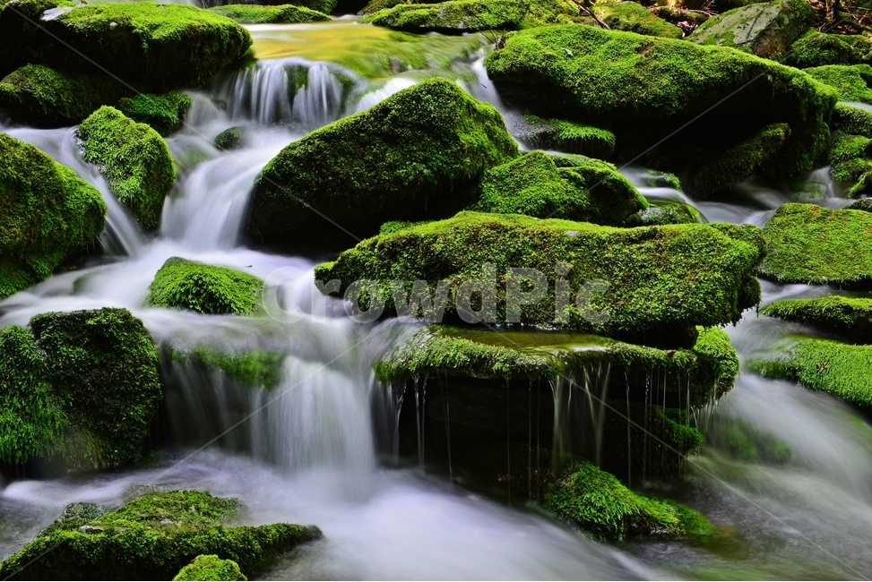 강원도,평창,장전,이끼계곡,폭포,계곡,장전이끼계곡,landscape,경치,outdoors,옥외,nature,자연,scenery,풍경,자연,풍경,nature,landscape