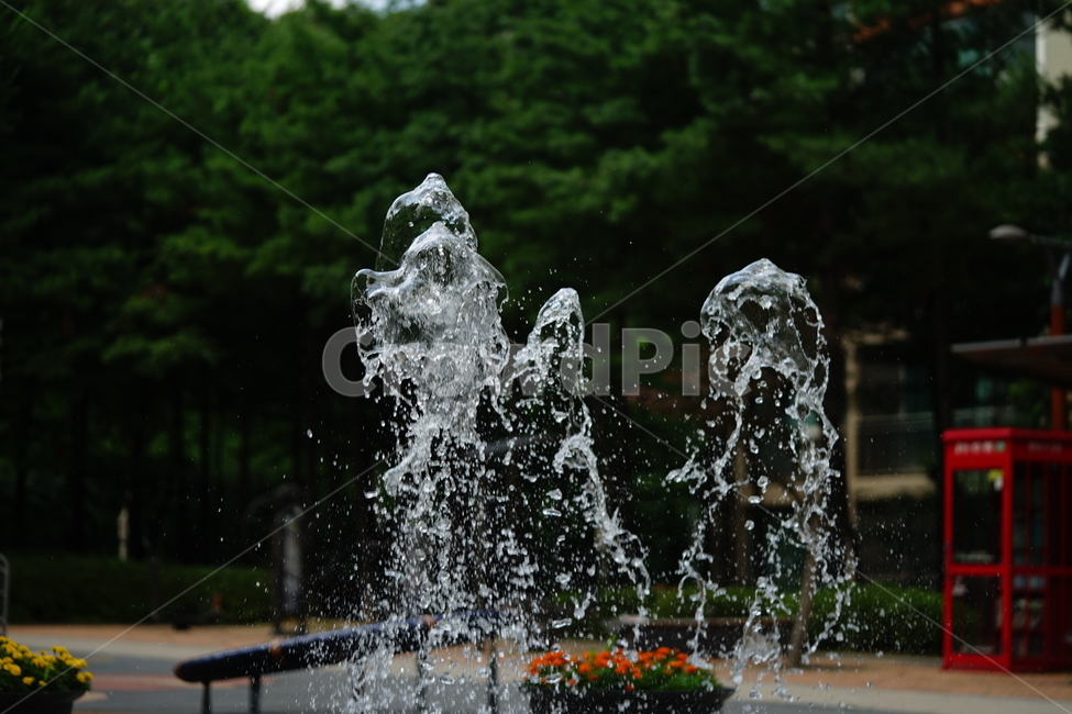 분수,물,물줄기,여름,계절,water,순간,순간포착,더위,summer,여름,계절,summer,season