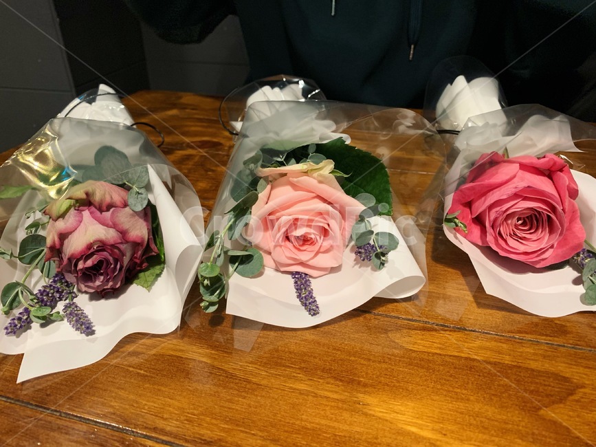 꽃,돌섀토,flower,장미,빅토리아,올포러브,꽃말,꽃,flower