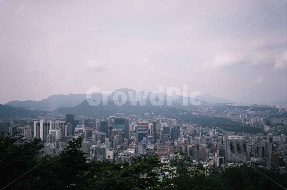 나무,자연,도시,nature,식물,tree,plant,city,필름,필름사진,film,산,mountain,landscape,경치,풍경