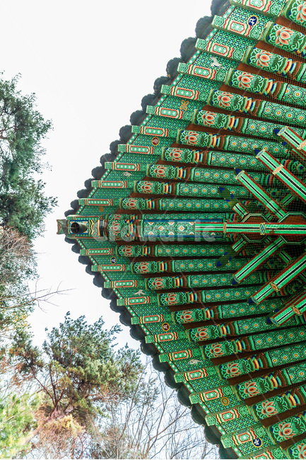 처마,단청,대칭,문양,무늬,선,한국전통,한국문화,korean traditional,korean culture,건축물,건물외관,exterior,building,structure,architecture,construction