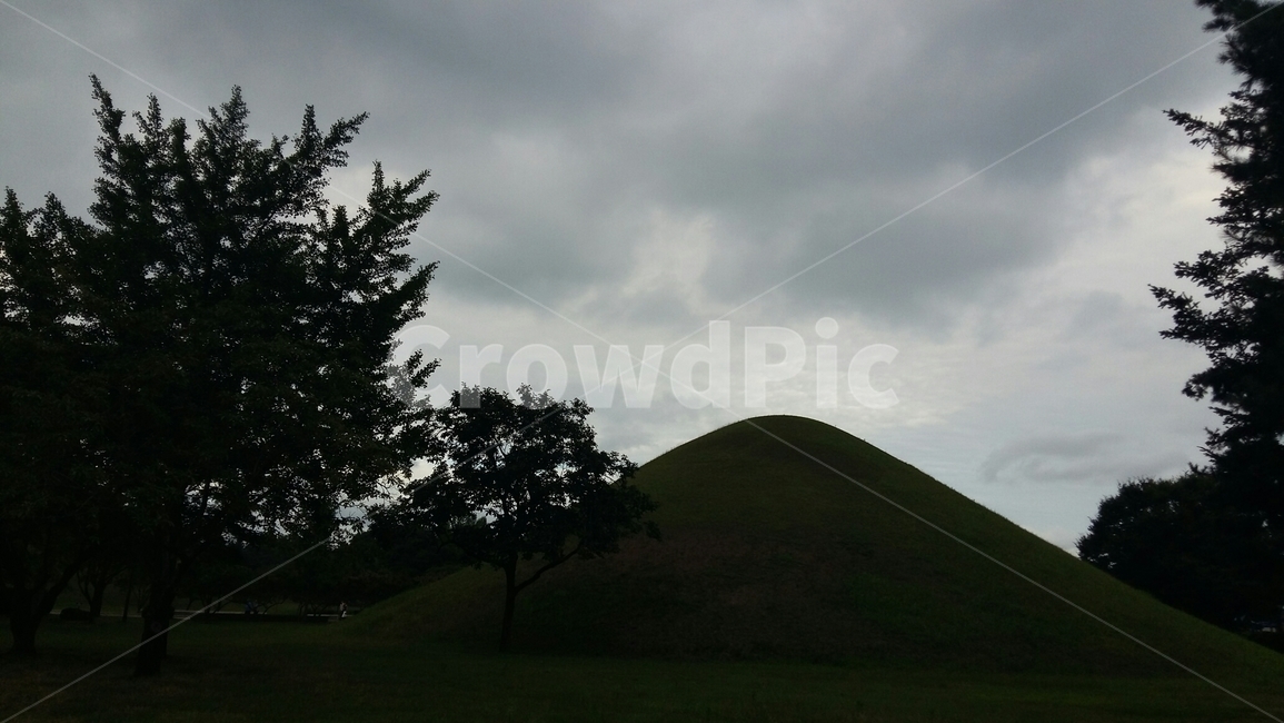 나무,능,왕릉,대릉원,경주,천마총,낮,구름,하늘,그림자,신라,한국전통,삼국시대,한국문화,어두움