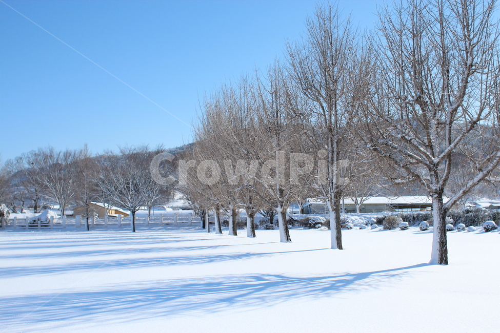 겨울,눈,운동장,winter,snow,하얀세상,겨울풍경,playground,학교,시골,맑음,그림자,햇살,쌓인눈,school,겨울,계절,winter,season,자연,풍경,nature,landscape,outdoors,옥외