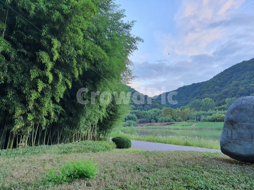 풍경,하늘,대나무,나무,돌,숲,자연,풍경,nature,landscape
