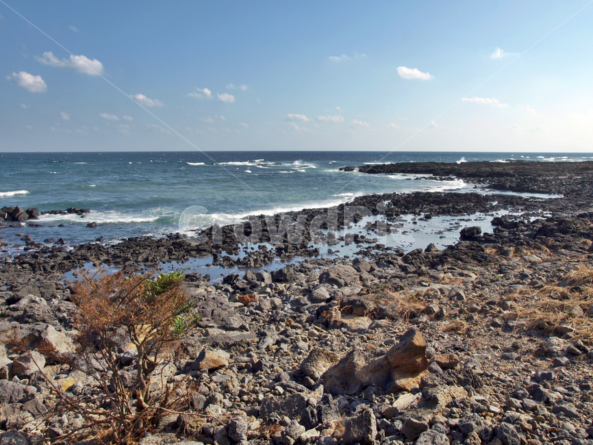올레4코스,올레길,제주,서귀포시,남원,해변,바다,자연,풍경,nature,landscape,제주도,jeju,jeju island,ground,바닥,rubble,파편