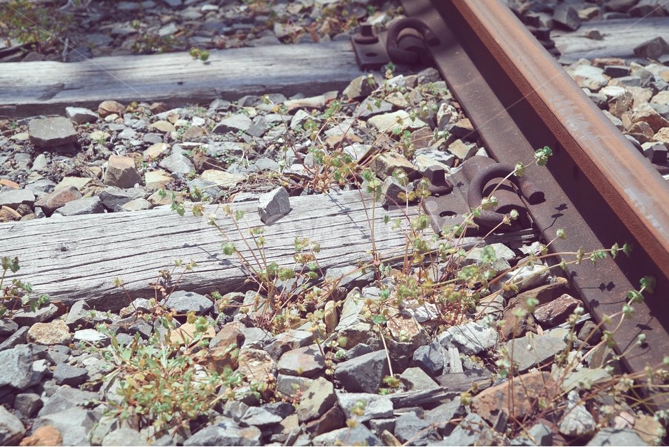 철길,식물,낭만,자갈,돌,철도,레일,레트로,감성,rail,railway,plant,grass,stone,emotional,교통,교통수단,traffic,transportation,dirt road,흙길,road,도로,gravel,rubble,파편,ground,바닥,train track,기찻길