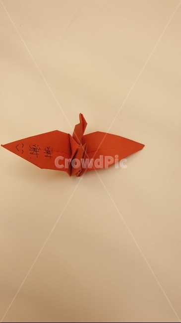 쎄쎄,종이,paper,art,학