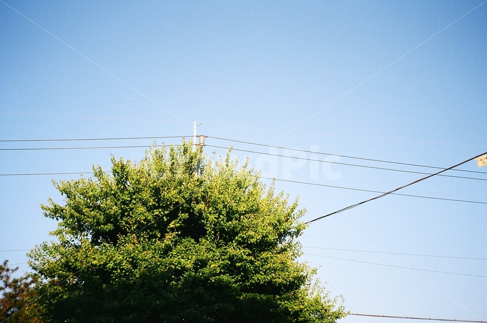 구름,하늘,nature,자연,경치,풍경