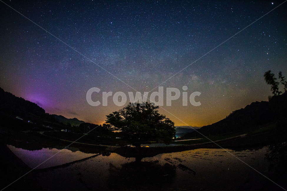 은하수,원정리,별사진,별,반영,야경,밤,풍경,nightscape,night,landscape,식물,자연,plants,nature,나무,trees,wood,outdoors,옥외