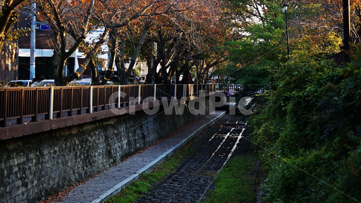 가을,가을풍경,여좌천,단풍,풍경,가을,계절,fall,autumn,season