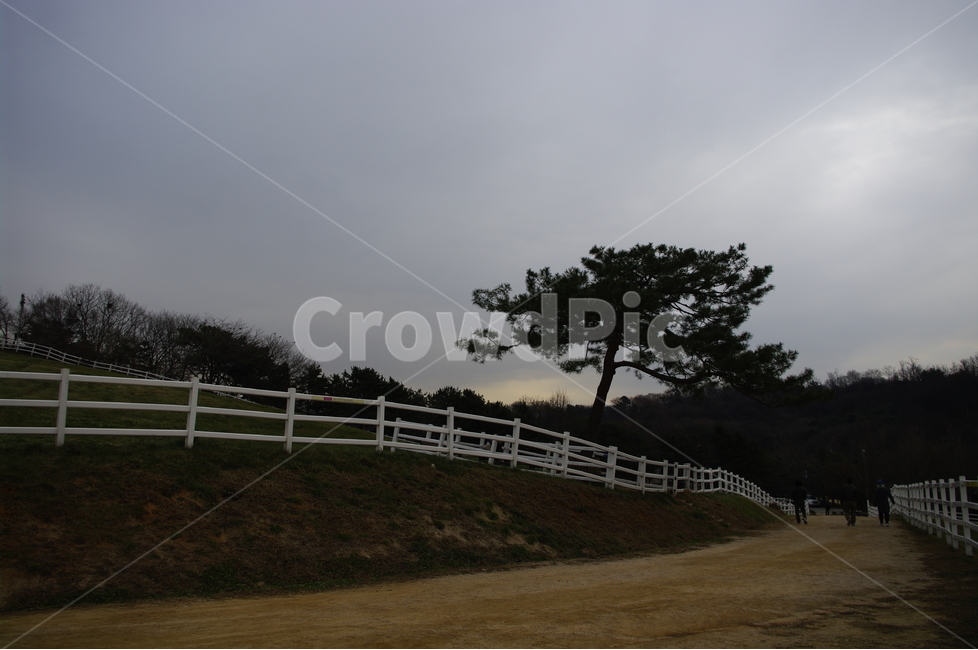 목장,울타리,나무,겨울,풍경,자연,풍경,nature,landscape,사람들,대중,군중,other people,crowd