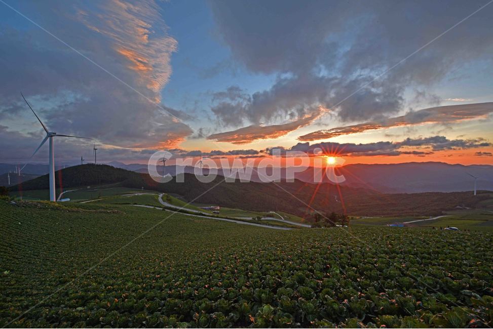 일출,매봉산일출,sunrise,sunup,해돋이,매봉산,풍경,자연,감성