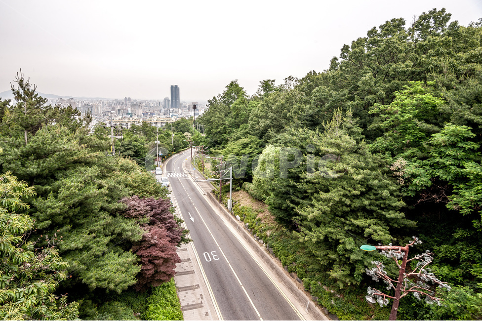 산,풍경,산책,공원,둘레길