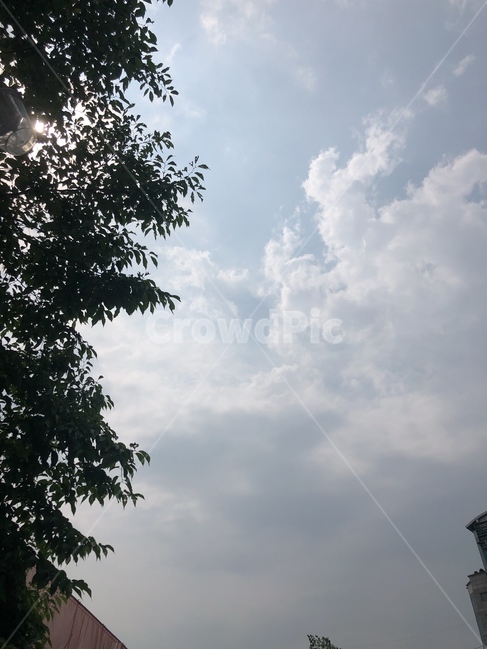 하늘,구름,봄하늘,파란하늘,높은하늘,맑은하늘,풍경,자연,공원