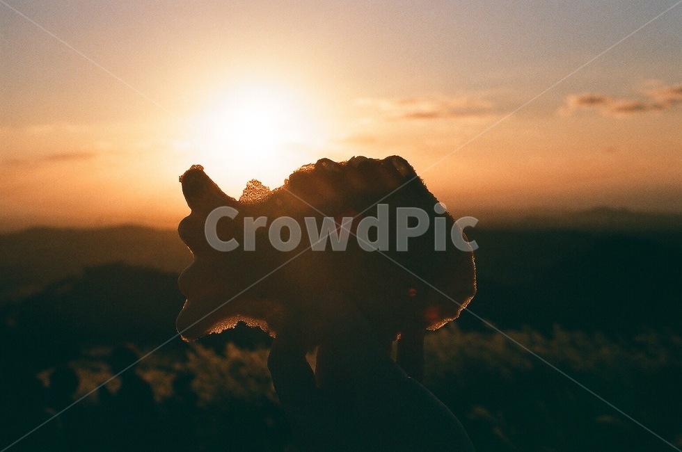 sunlight,햇빛,붕어빵,sunsrt,노을,하늘,태양,빛,light,플레어,flare,음식,식재료,요리,food,cook,meal,dishes,food reserves