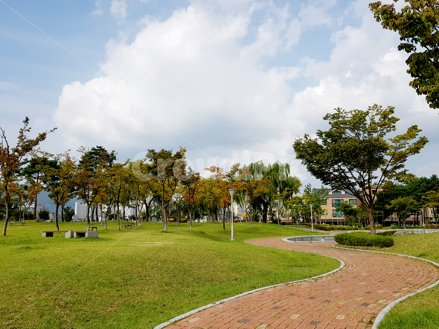 자연,푸른하늘,sky,outdoors,하늘,옥외,가을하늘,tree,나무,plant,식물,자연,풍경,nature,landscape,grass,잔디