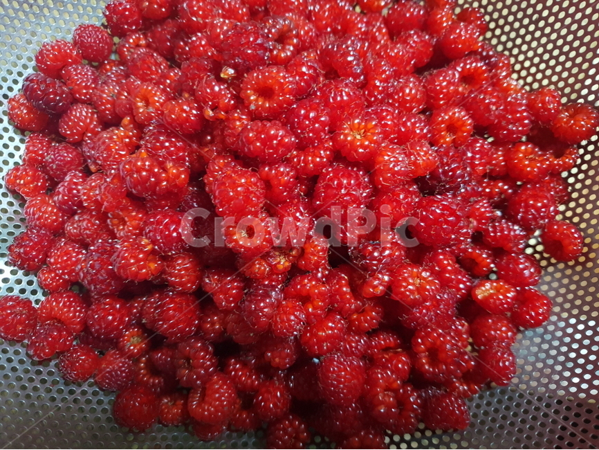 산딸기,라즈베리,나무딸기,빨강색,여름,새콤달콤한,배경,붉은색,raspberry,딸기잼,식물,다년생,여러해살이,열매,다이어트,배경이미지,배경화면,음식,식재료,요리,food,cook,meal,dishes,food reserves,과일,열매,fruit