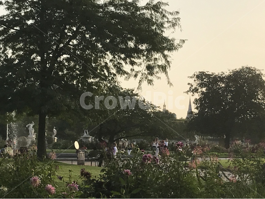 파리,프랑스,튈르리,노을,풍경,도시,풍경,city,landscape,해외,외국,세계,foreign,oversea,world,세계도시풍경,해외도시풍경,외국도시풍경,world cityscape,outdoors,옥외,garden,정원