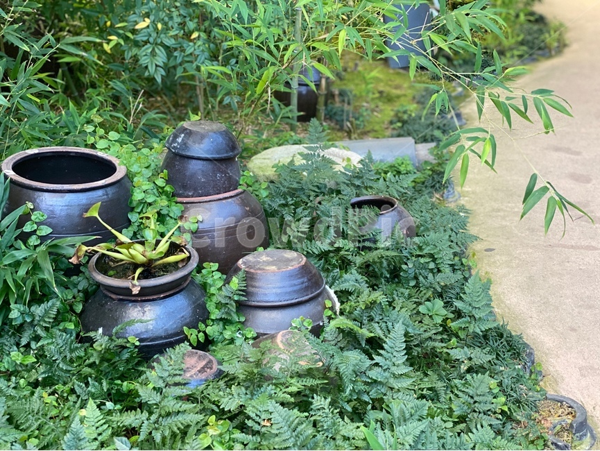 항아리,pot,jar,전통,tradition
