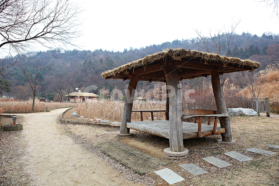 원두막,오두막,집,갈대,풍경,겨울,자연,공원