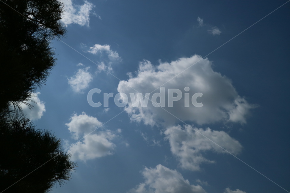 nature,자연,outdoors,옥외,weather