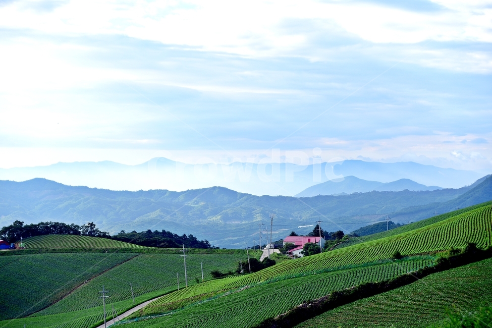 countryside,nature,outdoors,옥외,시골,마을,시골마을,풍경,일출,자연,풍경,nature,landscape