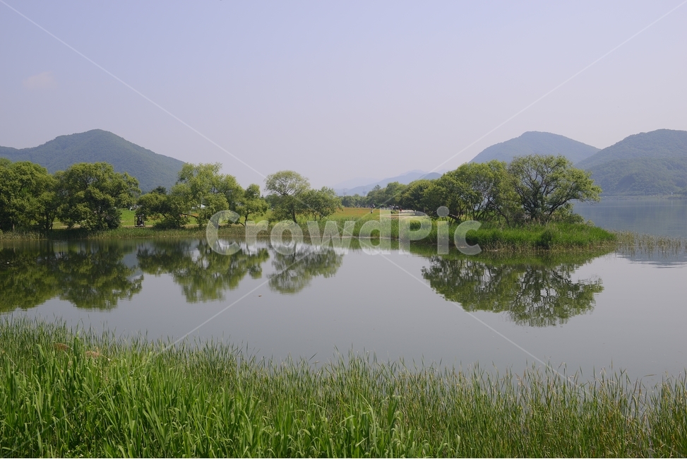 반영,물,강물,나무,자연,풍경,물의정원,reflex,초록,green,자연,풍경,nature,landscape,한국자연풍경,한국자연경관,korea nature landscape,water,outdoors,옥외,land,땅