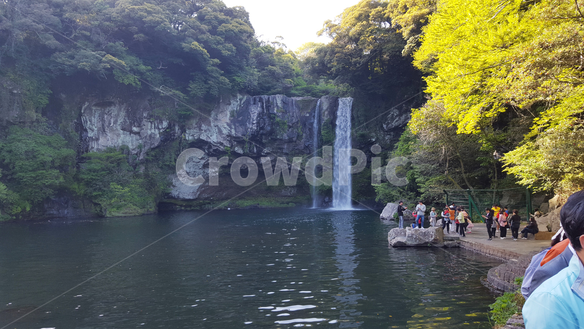 천지연폭포,폭포,제주도,연못,관광지,cascade,jejudo,waterfall,한국폭포,천연기념물,계곡,valley,자연,풍경,nature,landscape,사람들,대중,군중,other people,crowd,water,물,river,강,outdoors,옥외