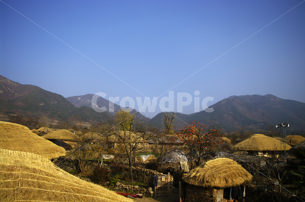 초가지붕,전통가옥,한국,마을,읍성,풍경,낙안읍성,시골,마을,풍경,landscape,country,rural,town,한국전통,한국문화,korean traditional,korean culture