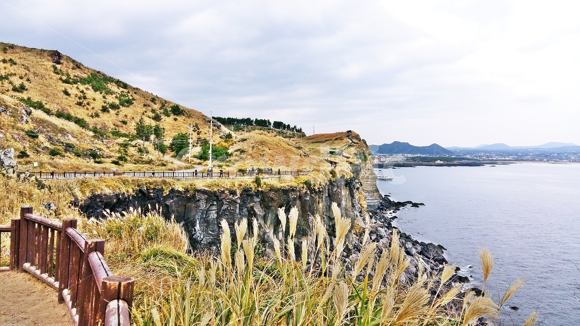 제주도,서귀포,송악산,올레길,둘레길,바다,해안선,자연,풍경,nature,landscape,제주도,jeju,jeju island,outdoors,옥외,cliff,낭떠러지