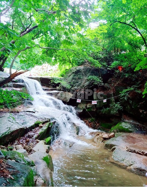 물,water,nature,자연,계곡,풍경