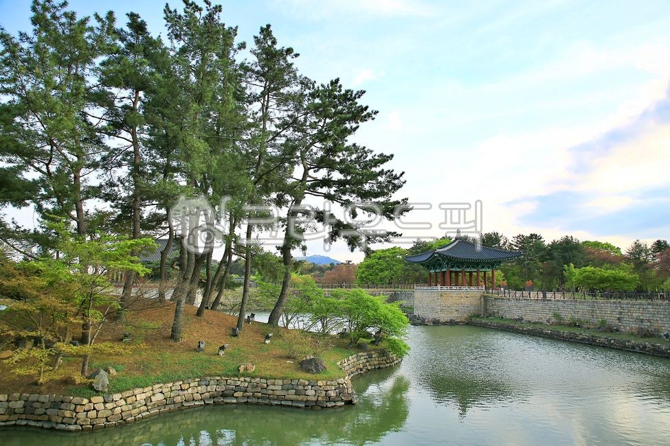 ponds,Unified Silla,castles,Architecture,beauty,nature,Anapji Pond,magic hour,water,Gyeongju,spring,palaces,Donggung Palace and Wolji Pond,historic sites,buildings,pine trees,fortresses,Korean tradition