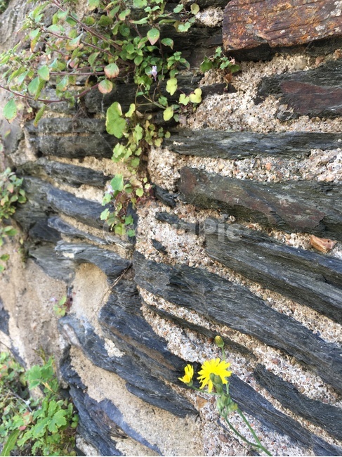 골목길,골목,길,집,건축,벽,담장,앙제,프랑스,alley,road,cobblestone,house,architecture,wall,stonewall,angers,france
