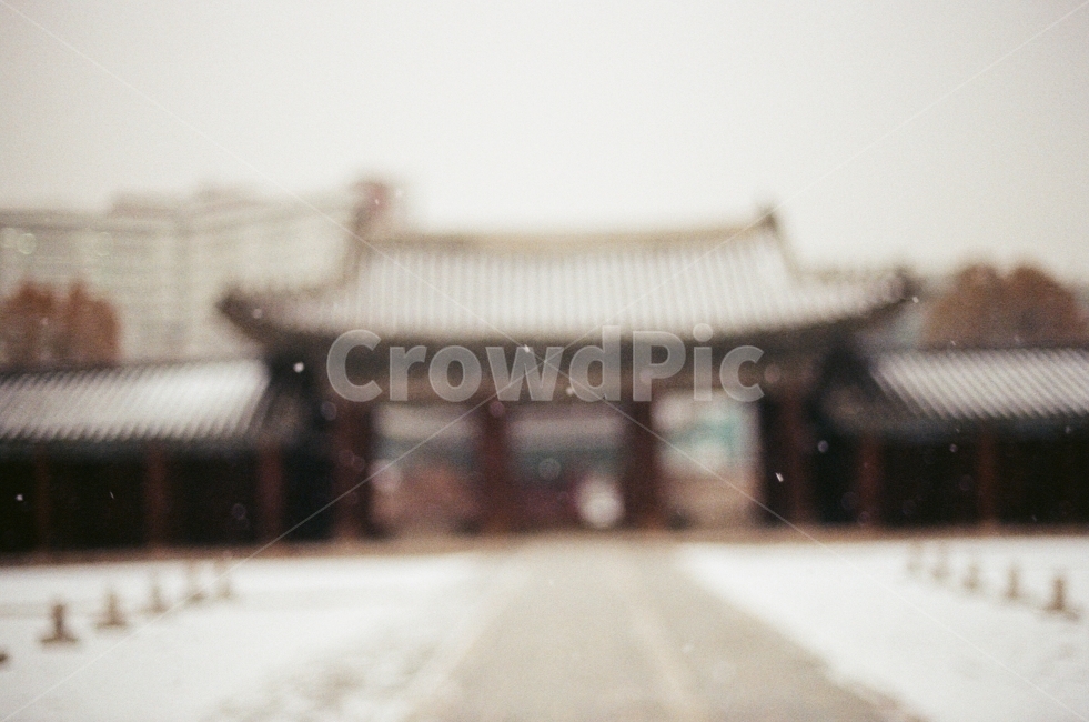 눈,겨울,창경궁,서울,전통,필름사진,감성사진,겨울사진,몽환,따뜻한,풍경,고요한,snow,winter,tradition,film,sensitive,warm,landscape,cozy,korea,seoul,겨울,계절,winter,season,한국전통,한국문화,korean traditional,korean culture,랜드마크,landmark,tourist attraction,한국랜드마크,한국관광지,한국명소,korea landmark,korea tourist attraction,감성,sensible,feeling