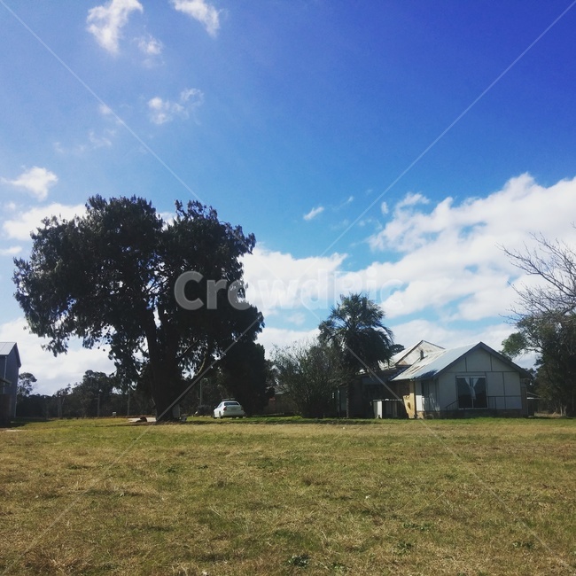 호주,시골,농장,평화로운,일상,자연,풍경,nature,landscape,해외,외국,세계,foreign,oversea,world,세계자연풍경,해외자연풍경,외국자연풍경,world nature landscape,plant,식물,grass,잔디,outdoors,옥외